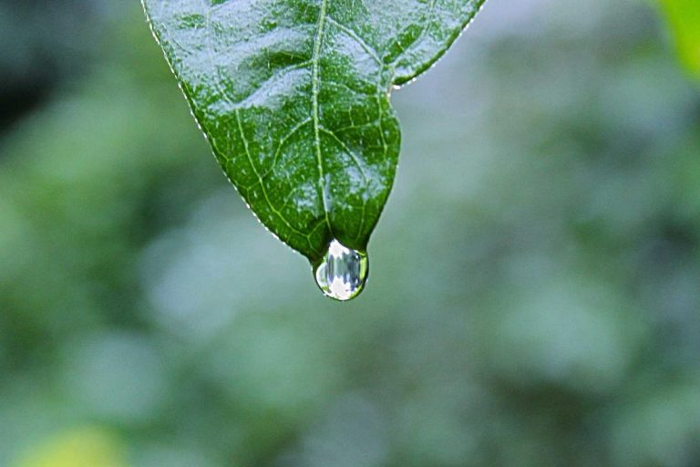auto-news-1779941181.jpg